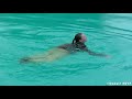 Girl fully clothes in swimming pool