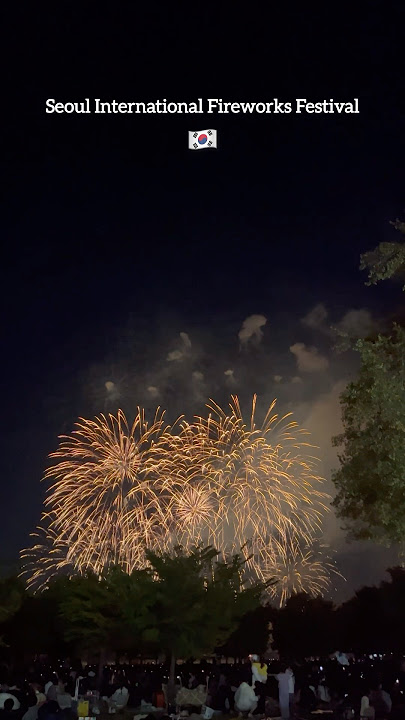 Witnessing Seoul International Fireworks Festival 🇰🇷✨  #SeoulFireworks #fireworks