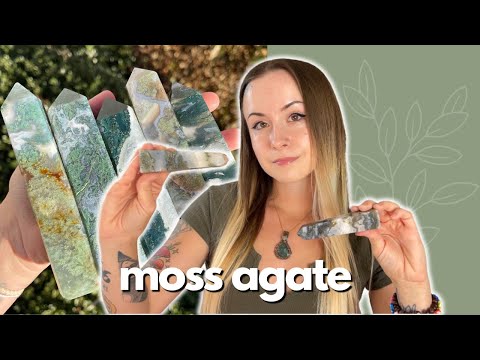 all about moss
