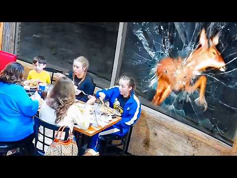 Lustigste Restaurant-Pannen, die