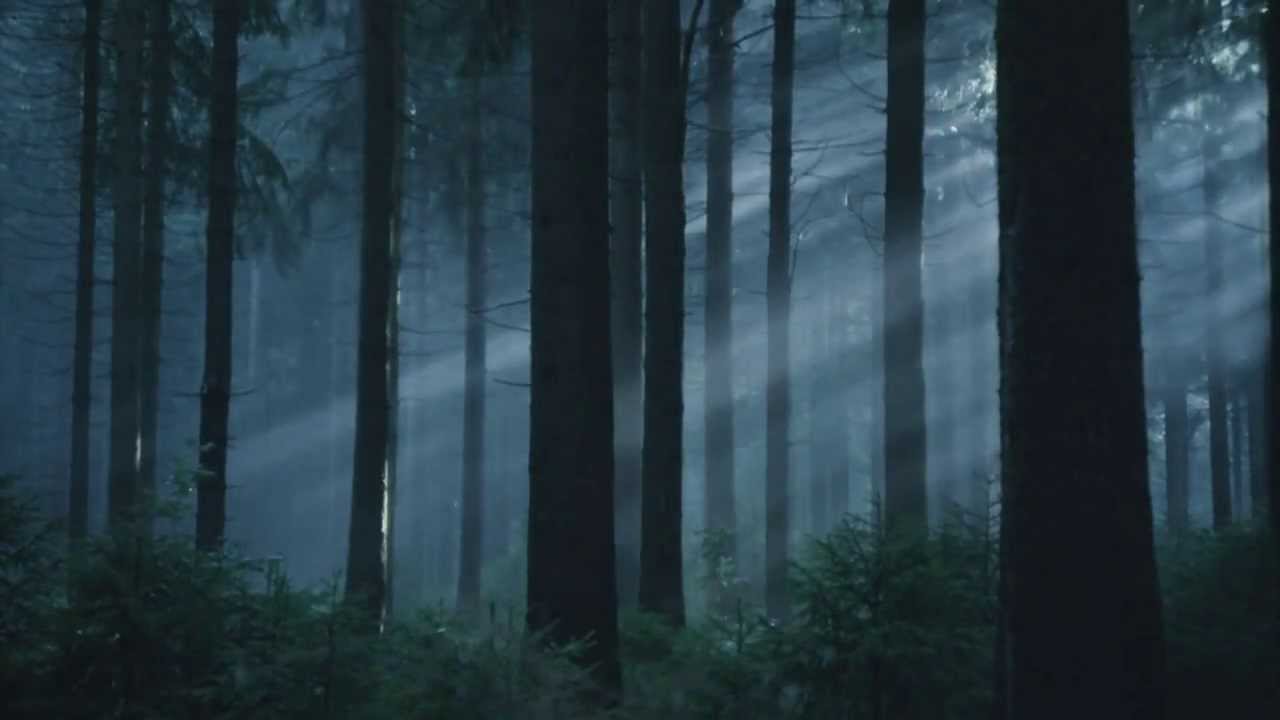 A Moment in the Life of Me - Dax Johnson