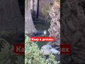 Каир в деталях. 9 мая 2025 г.