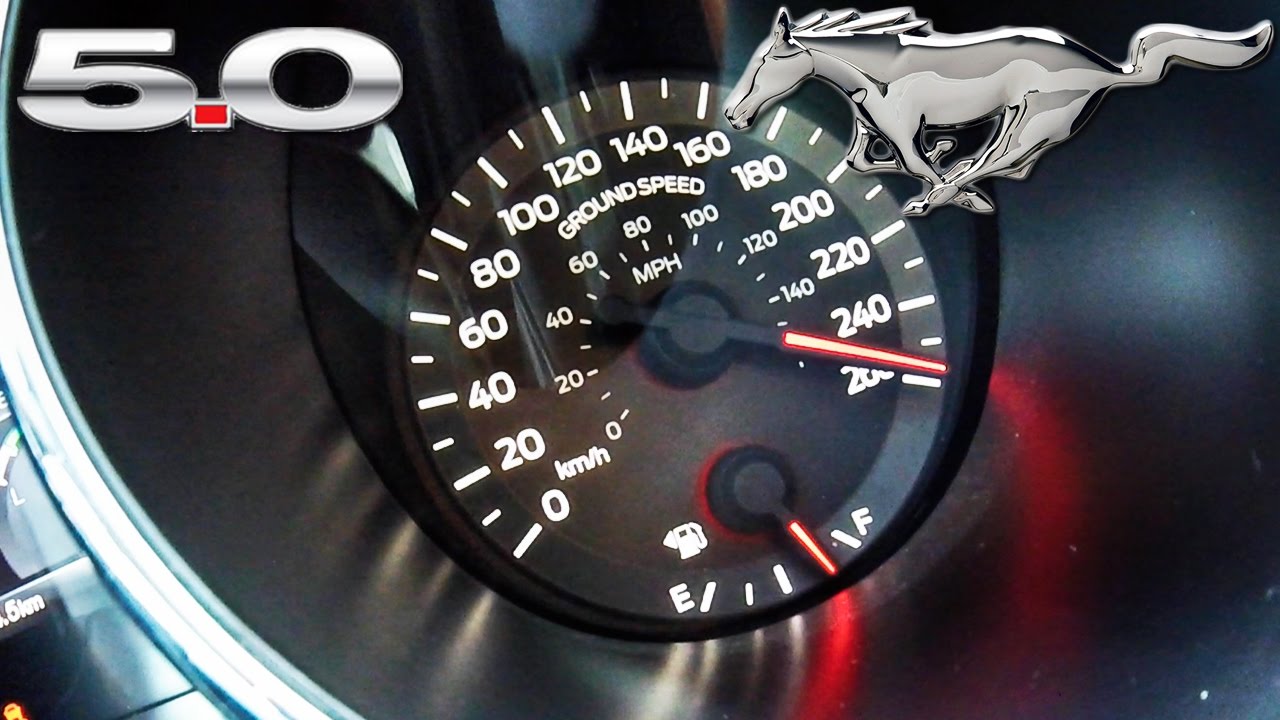 Ford Mustang GT 5.0 SPEED & ACCELERATION by AutoTopNL - YouTube