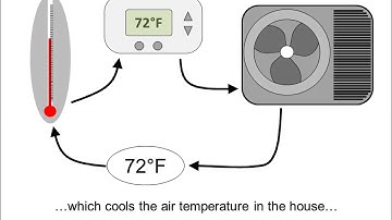 Homeostasis Video 3:  Feedback Loops