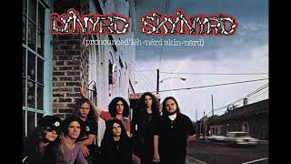 Lynyrd Skynyrd - Free Bird (guitar backing track)