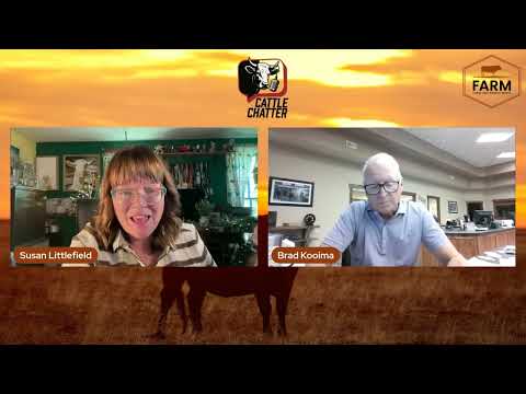 Tight Supplies Don't Eliminate Market Risk | 7/2/26 Cattle Chatter