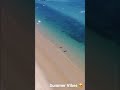 Summer Vibes