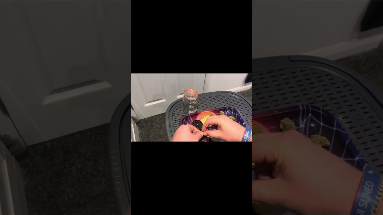 Royal Moby (curaleaf) medical cannabis review. 20% thc. Sativa Hybrid. Does irradiation affect it??