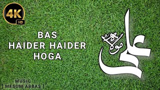 13 Rajab Special | 13 Rajab Whatsapp Status | Bas Haider Haider Hoga | Mesum Abbas | Fazl Writer ❤️