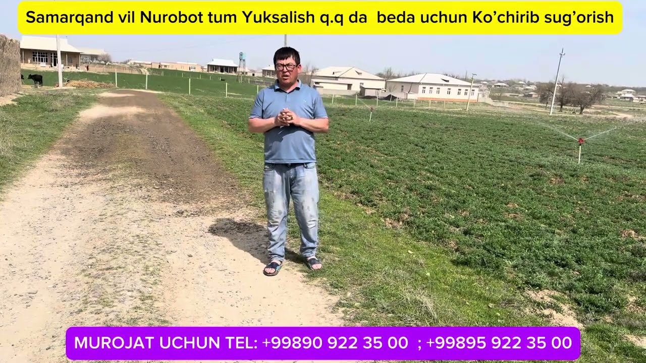 Samarqand vil Nurobot tum Yuksalish q.q da Beda uchun YOMG’IRLATIB SUG’ORISH. #akona #yomgirlatib