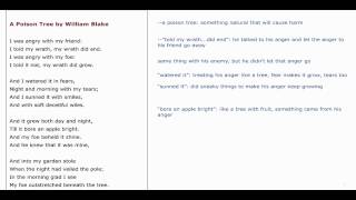 Celebrity Turning annotations into understanding: close reading Wealth