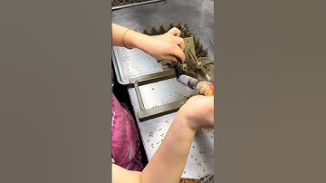 oem premium customized stainless steel metal parts.#casting    #forging    #machining     #cast