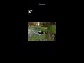 Memes In Minecraft Pe #live #shorts