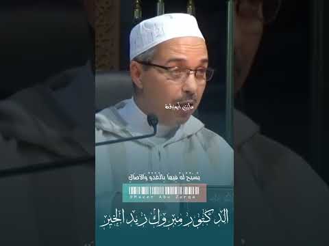 أهمية المساجد ودورها في الإسلام الدكتور مبروك زيد الخير مبروك زيد الخير الشيخ مبروك زيد الخير