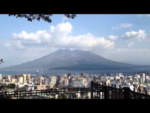 柴犬もも 赤ちゃんももと桜島
