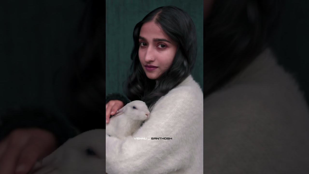 Rabbit photoshoot idea 📸 /@vishnu_santhosh/ 