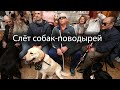 Слёт собак-поводырей в воронежской библиотеке для слепых