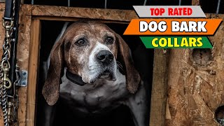 Choosing the Right Bark Collar: Gentle Correction vs. Harsh Aversion (Ultimate Guide) by Pet Needs 16 views 2 weeks ago 10 minutes, 33 seconds