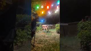 Herkes Anladı En Çok Seni Sevdiğimi