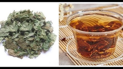 兩個藥酒方，男性滋補，女性膚質變好，自己在家可以試著做！ - 天天要聞