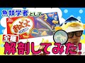 √無料でダウンロード！ �� デフォルメ 243765-魚 イラ���ト デフォルメ