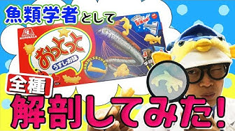 おっとっと Youtube