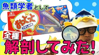 さかなクンならデフォルメされたおっとっとでも全種正解できる説 深海魚ver Youtube