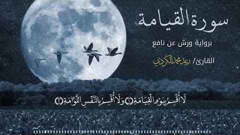 سورة القيامة بصوت رعد بن محمد الكردي
