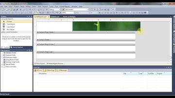 Hướng dẫn tạo Report (Crytals Report) trong Visual 2010 với C#