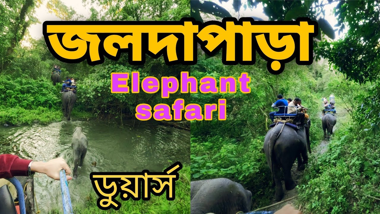 jaldapara safari ticket booking