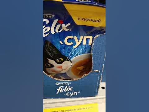Кошачий суп! Где ложка? - YouTube
