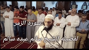 سورة الزمر لفضيله الشيخ سالم عبده سالم