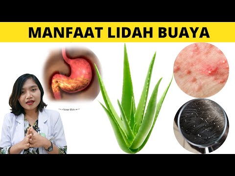 Video: 10 Gel Lidah Buaya Terbaik Tahun 2022, Menurut Dokter Kulit