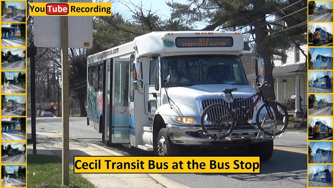 cecil-transit-bus-at-the-bus-stop-youtube-recording-youtube