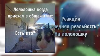 Реакция "Последняя реальность" На Лололошку|Дженна|Дилан|