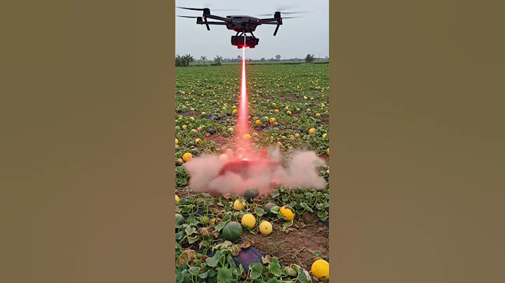 Drone lasers punish wild boars, saving crops#villagelife #smartfarming #farming101