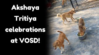 Akshaya Tritiya celebrations at VOSD!
