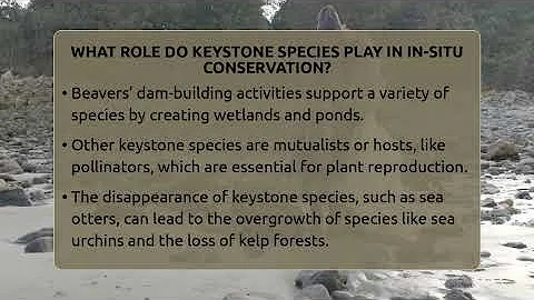What Role Do Keystone Species Play In In-situ Conservation? - Ecosystem Essentials