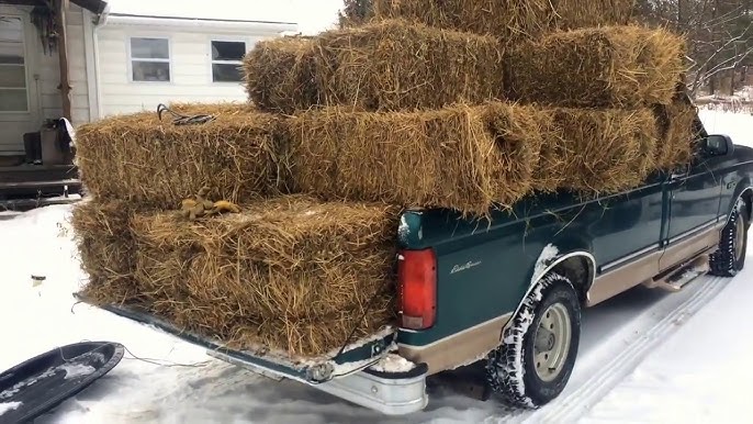 Straw Bale vs Hay Bale - What is the difference (Important!) 