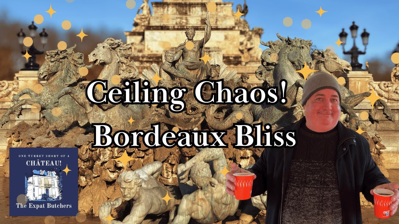 Ceiling Chaos   Bordeaux Bliss #229