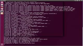 How To Install Squid Proxy on ubuntu 17.04 zesty zapus