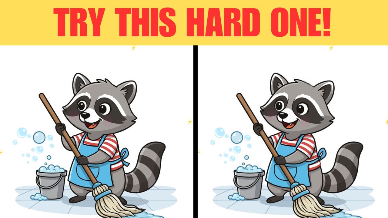 Can You Find | Spot the difference | Puzzle games | Find the difference | 