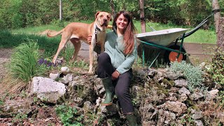 Spring at my mountain homestead with a new dog 🐕 by Wild She Goes 19,661 views 1 year ago 12 minutes, 11 seconds