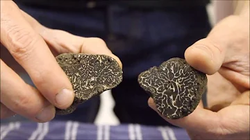 Quanto costa una pallina di tartufo nero?