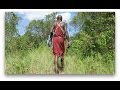 AFRICAN SAFARI | MAASAI MARA, KENYA Part 1