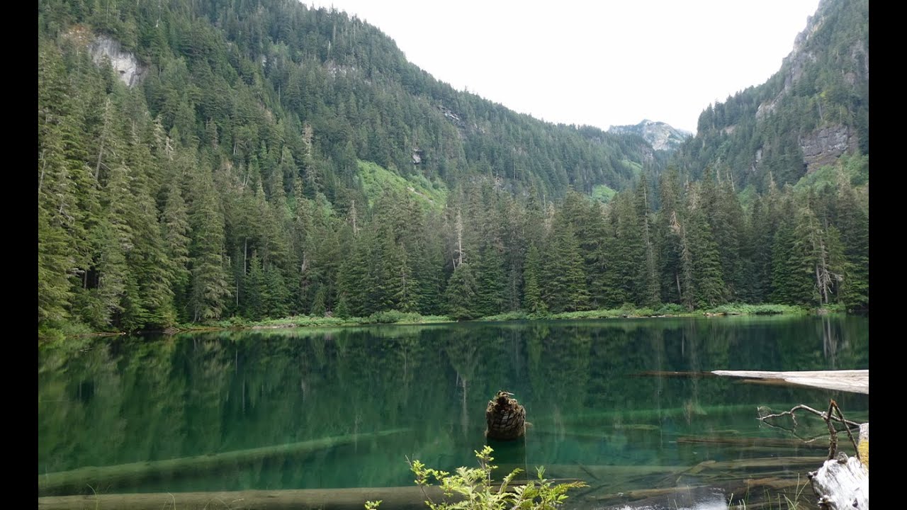 Hike to Green Lake at Mount Rainier N P, Carbon River area August