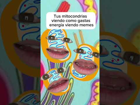 Así te ven ahora tus mitocondrias gastando todo el ATP en tonterías 😑 #biologia #humor #mitocondrias