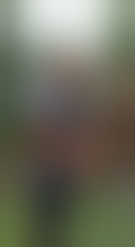 Viral Pil Dobel LL Berhamburan
