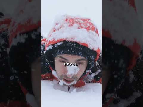 Escape the Avalanche: Panduan Bertahan Hidup Terlengkap