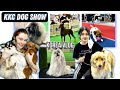 KKC выставка собак в Корее/KKC Korea dog show/KOREA VLOG